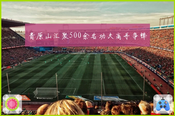 青原山汇聚500余名功夫高手争锋