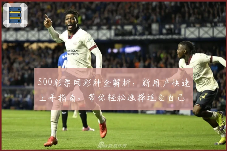 500彩票网彩种全解析,新用户快速上手指南,带你轻松选择适合自己的彩种