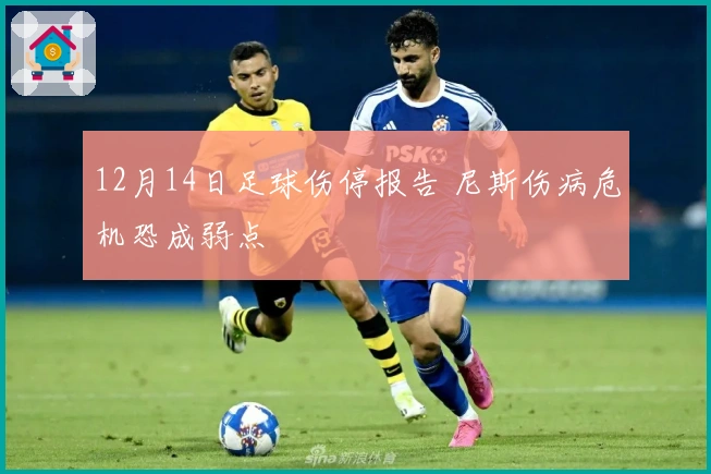 12月14日足球伤停报告 尼斯伤病危机恐成弱点