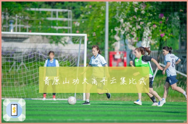 青原山功夫高手云集比武