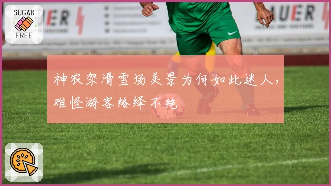 神农架滑雪场美景为何如此迷人，难怪游客络绎不绝