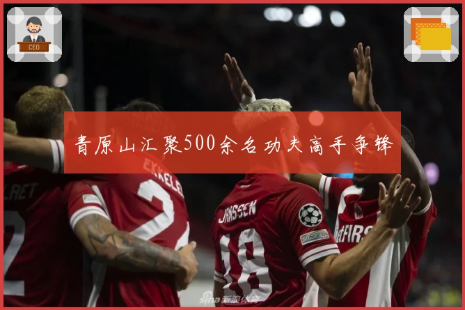 青原山汇聚500余名功夫高手争锋
