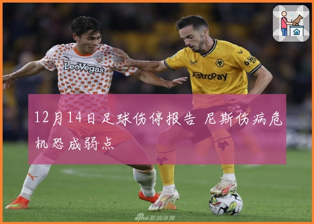 12月14日足球伤停报告 尼斯伤病危机恐成弱点